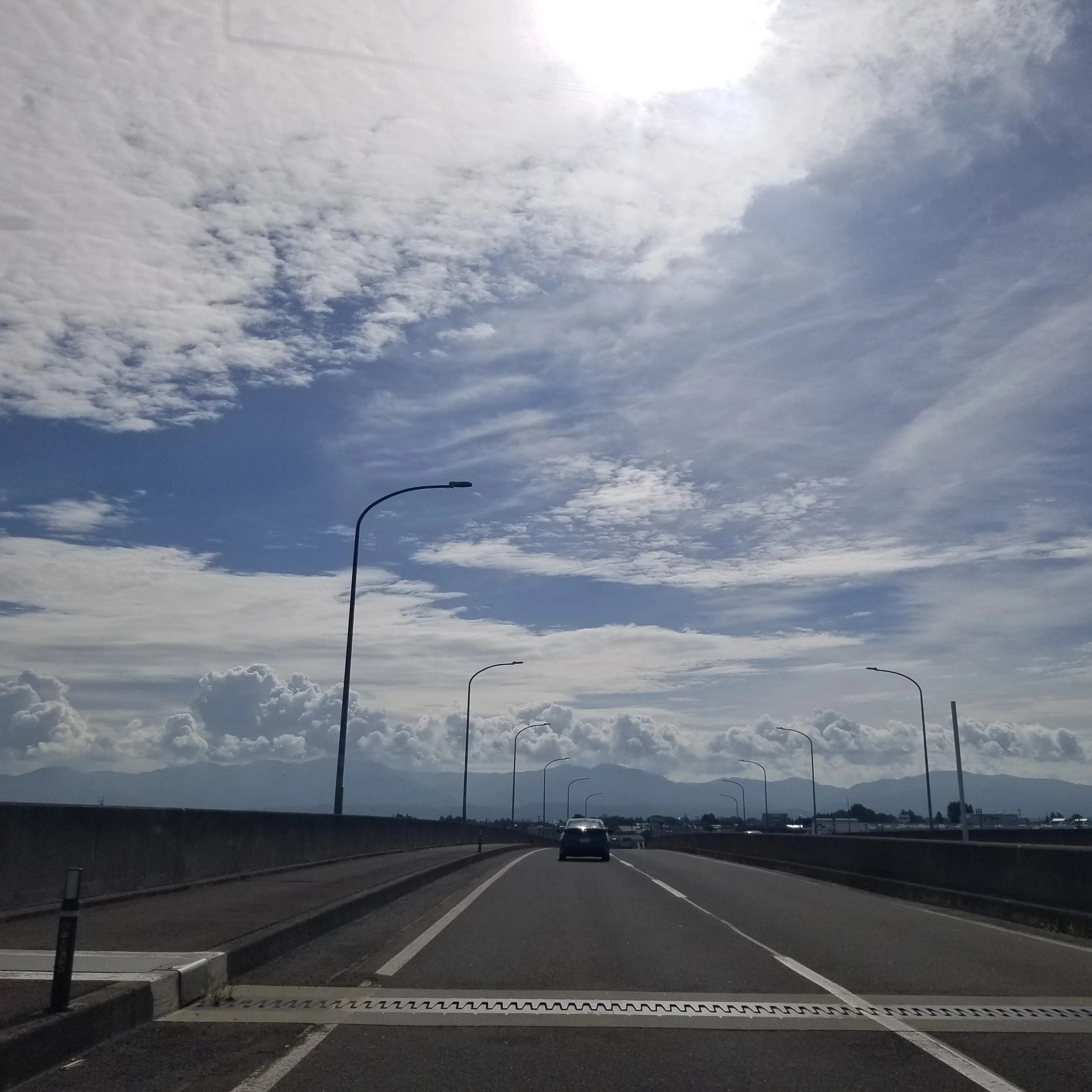 将生