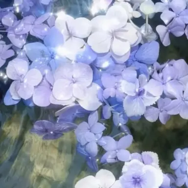 Profile image of 雲雀