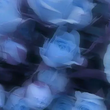 Profile image of アキラ
