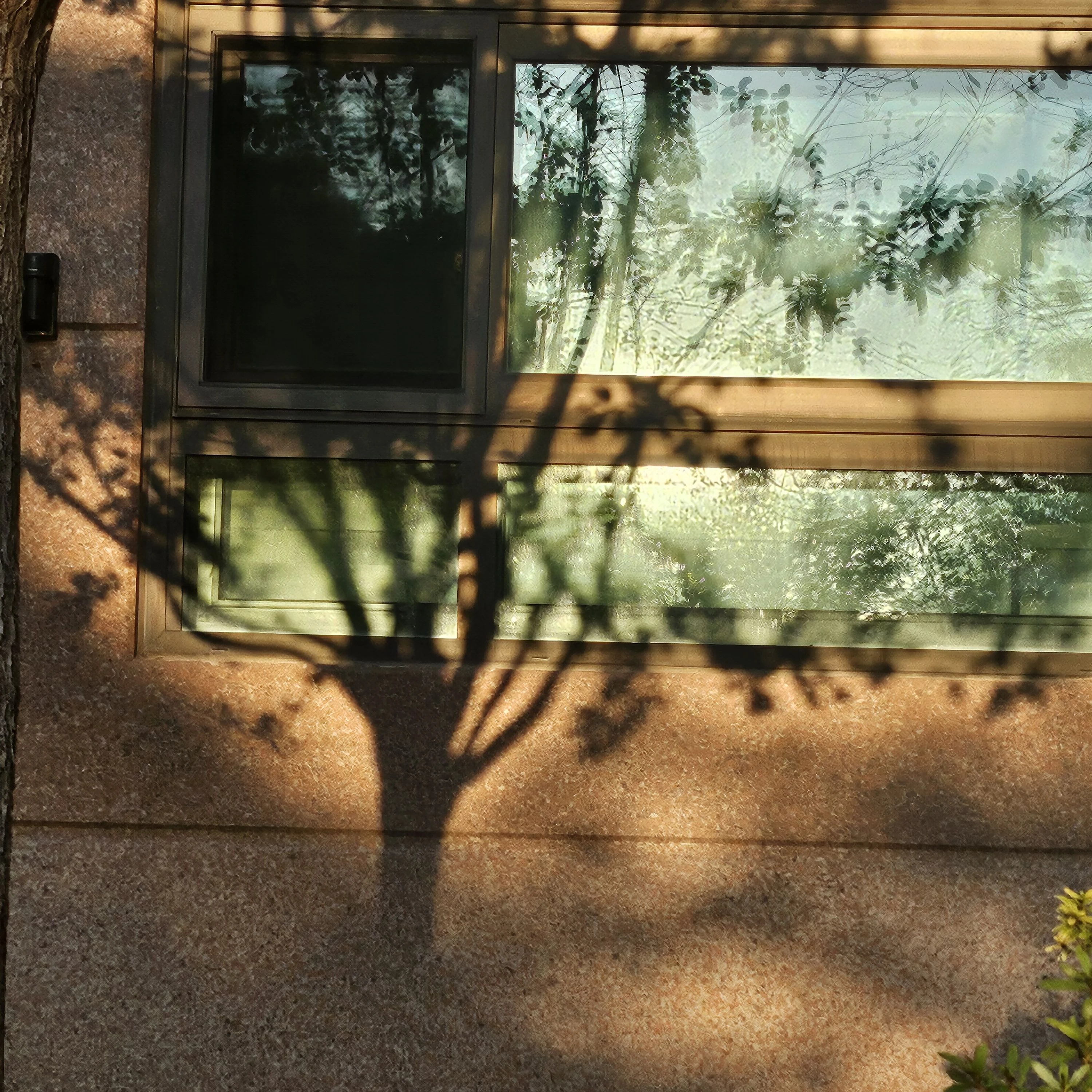 그 외 다른 살인마