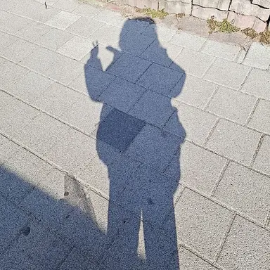 Profile image of 주들