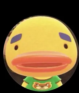 Profile image of 잼잼-문희율