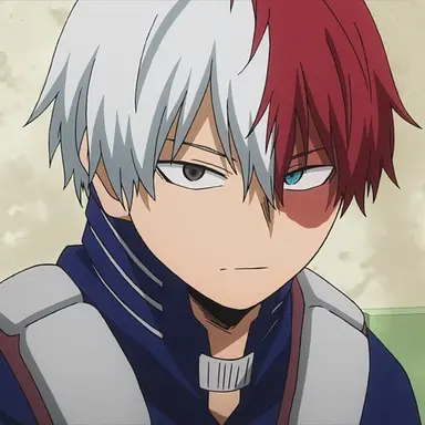 Profile image of Shoto Todoroki