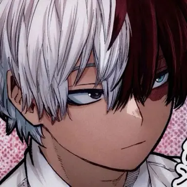 Profile image of Shoto Todoroki