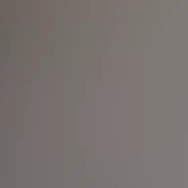 Profile image of 有岡大貴