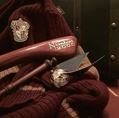 Profile image of Harry Potter