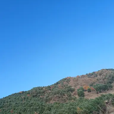 Profile image of 이상혁