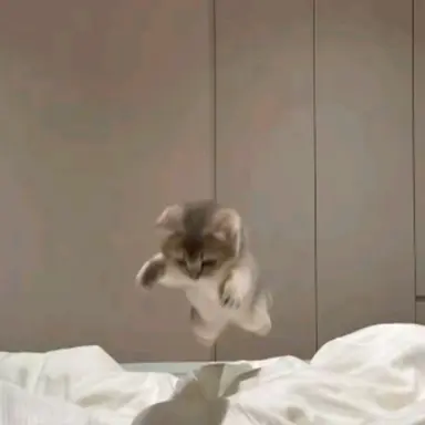 Profile image of 황수현