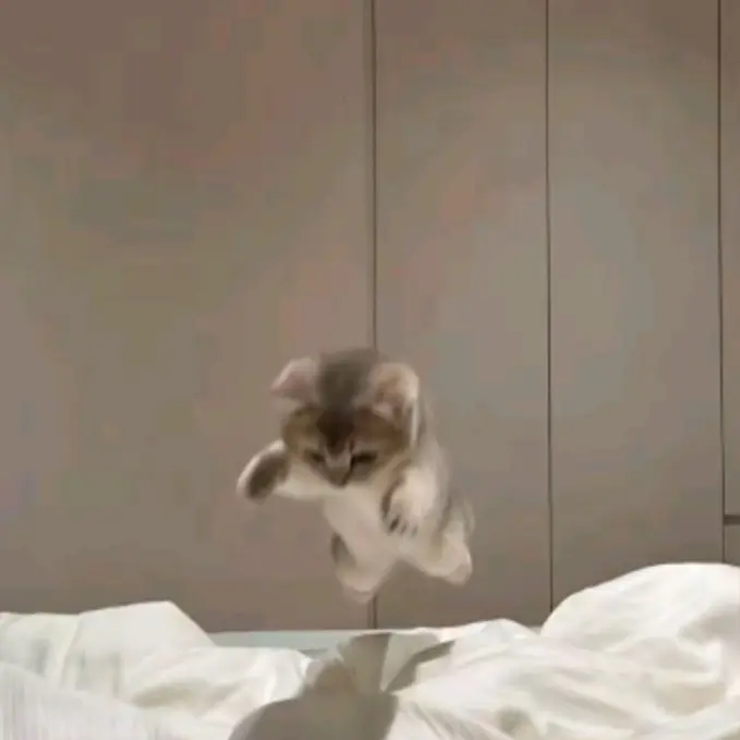 MoistTear3423의 토끼수인 수현이와 우당탕탕 동거생활!