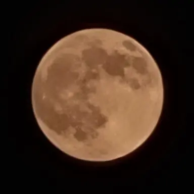 Profile image of 유저님 이름