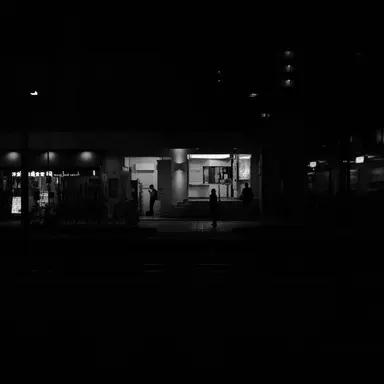 Profile image of 緋八マナ