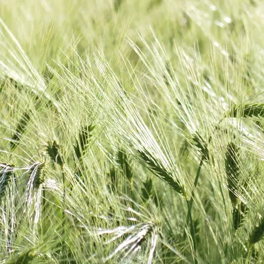 Profile image of 정공룡