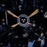 Profile image of They