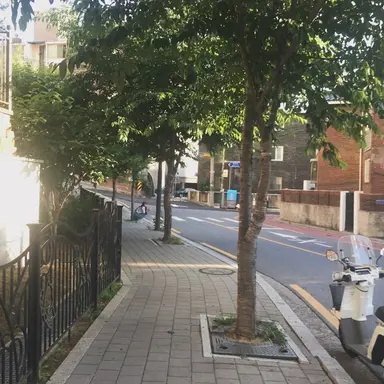 Profile image of 夏の三角関係