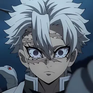 Profile image of 시나즈가와 사네미