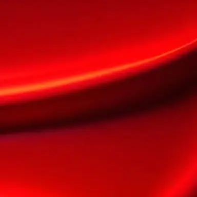Profile image of 유기사