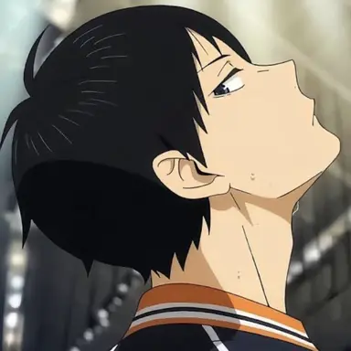 Profile image of 影山飛雄