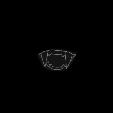 Profile image of チャンス