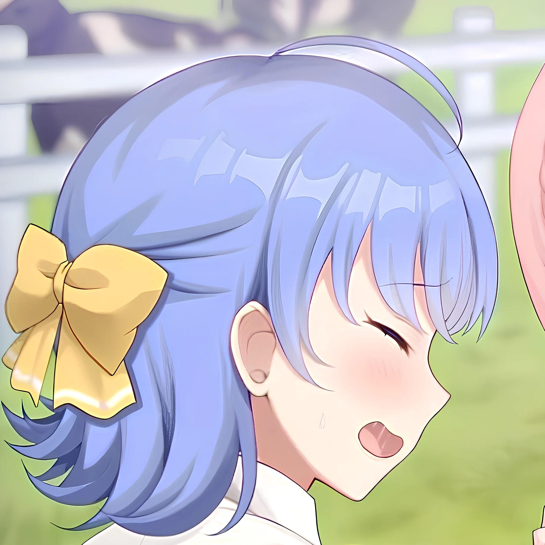 リカ