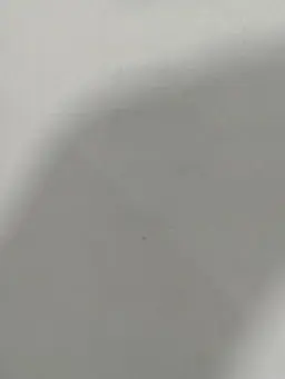 BoringSnore4299의 体が入れ替わった！？