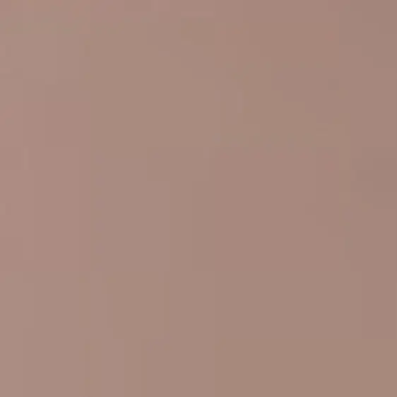 scientistMagicianCEO의 本当の真実/加賀美ハヤト