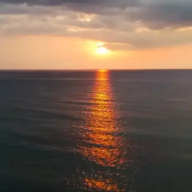 Profile image of 고고프랜즈