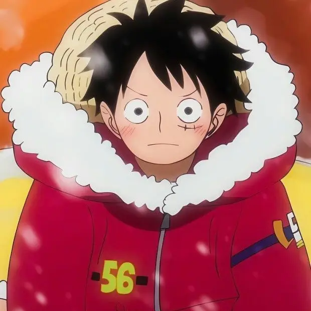 HumidKiwi5173의 Onepiece