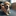 犬のバッチ