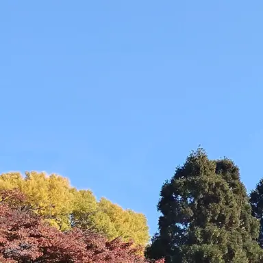 Profile image of Izuma