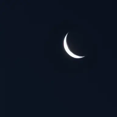 Profile image of 이봄