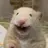 하일_5번째 새멤버