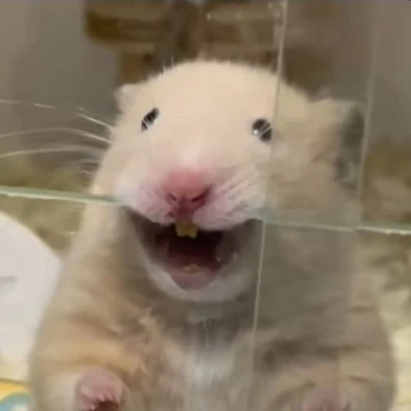 하일_5번째 새멤버