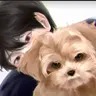 Profile image of 몽실이