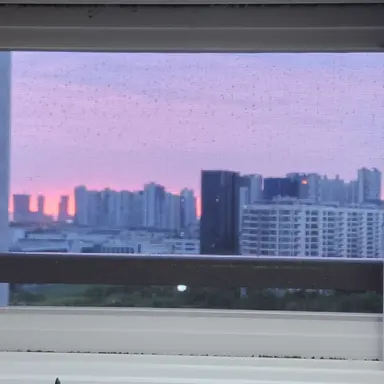 Profile image of 센