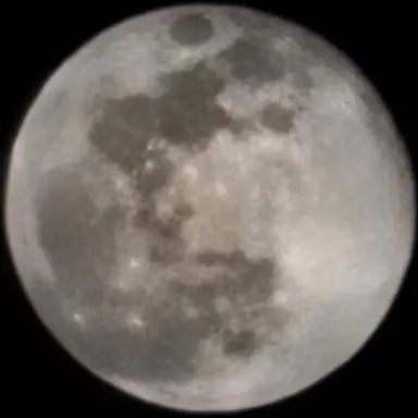 Profile image of 가딘