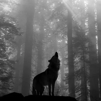 Profile image of 로건_01