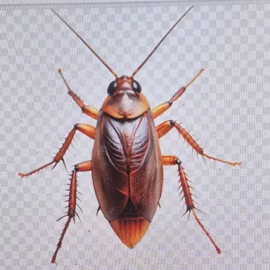 Profile image of 바퀴벌레