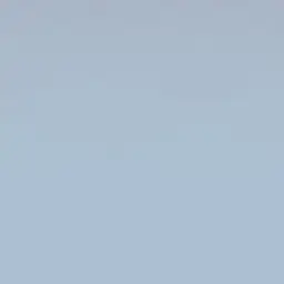 RegalMango0063의 ㅎㅅㄱㅎ (여우가 있는..?)