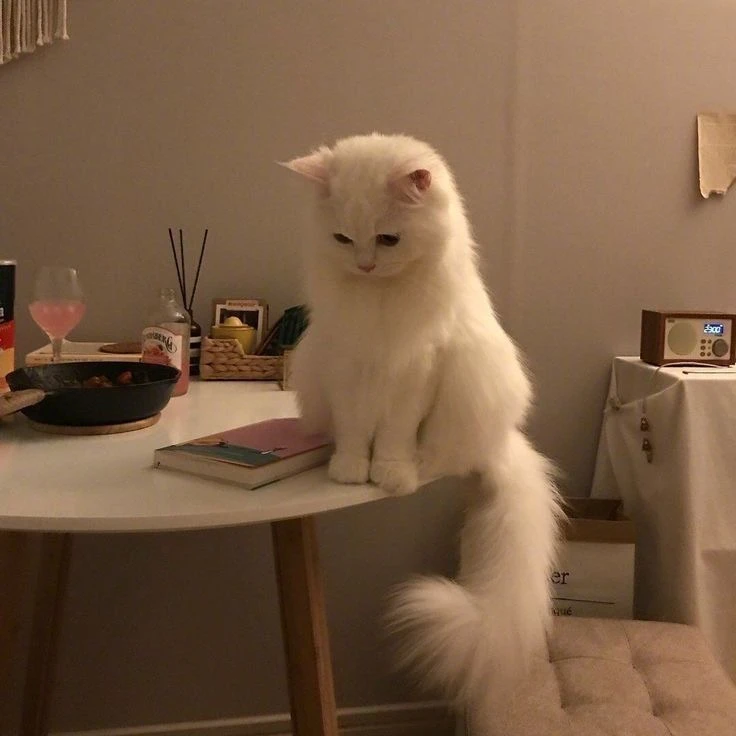 후코