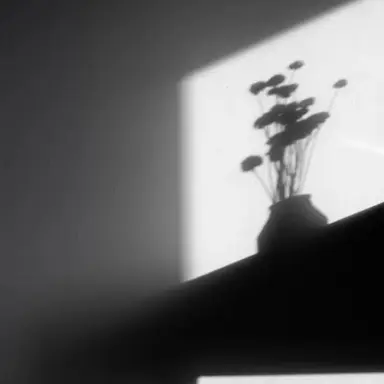 Profile image of 유기사