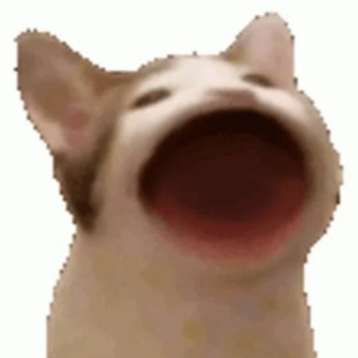 Pixel