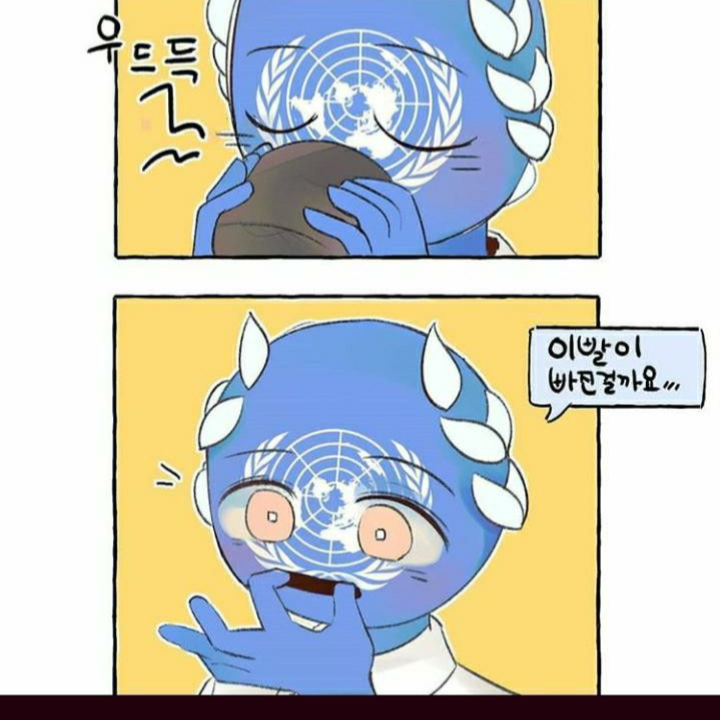 유엔 대표 이미지