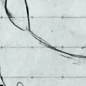 Profile image of 比宮