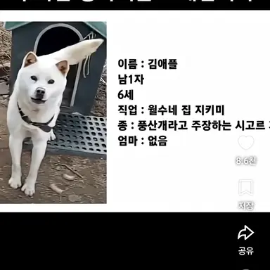 Profile image of 김애플