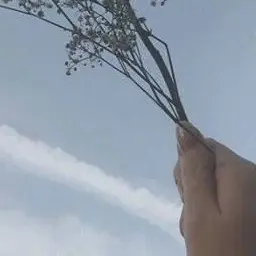 Profile image of 超天使バオユ