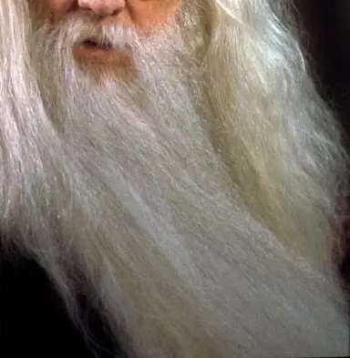 Profile image of Albus Dumbledore