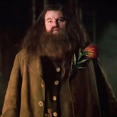 Profile image of Rubeus Hagrid