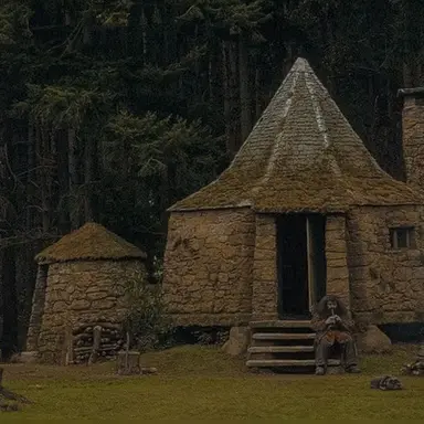Profile image of Rubeus Hagrid
