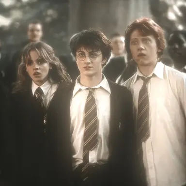 Profile image of Hermione Granger