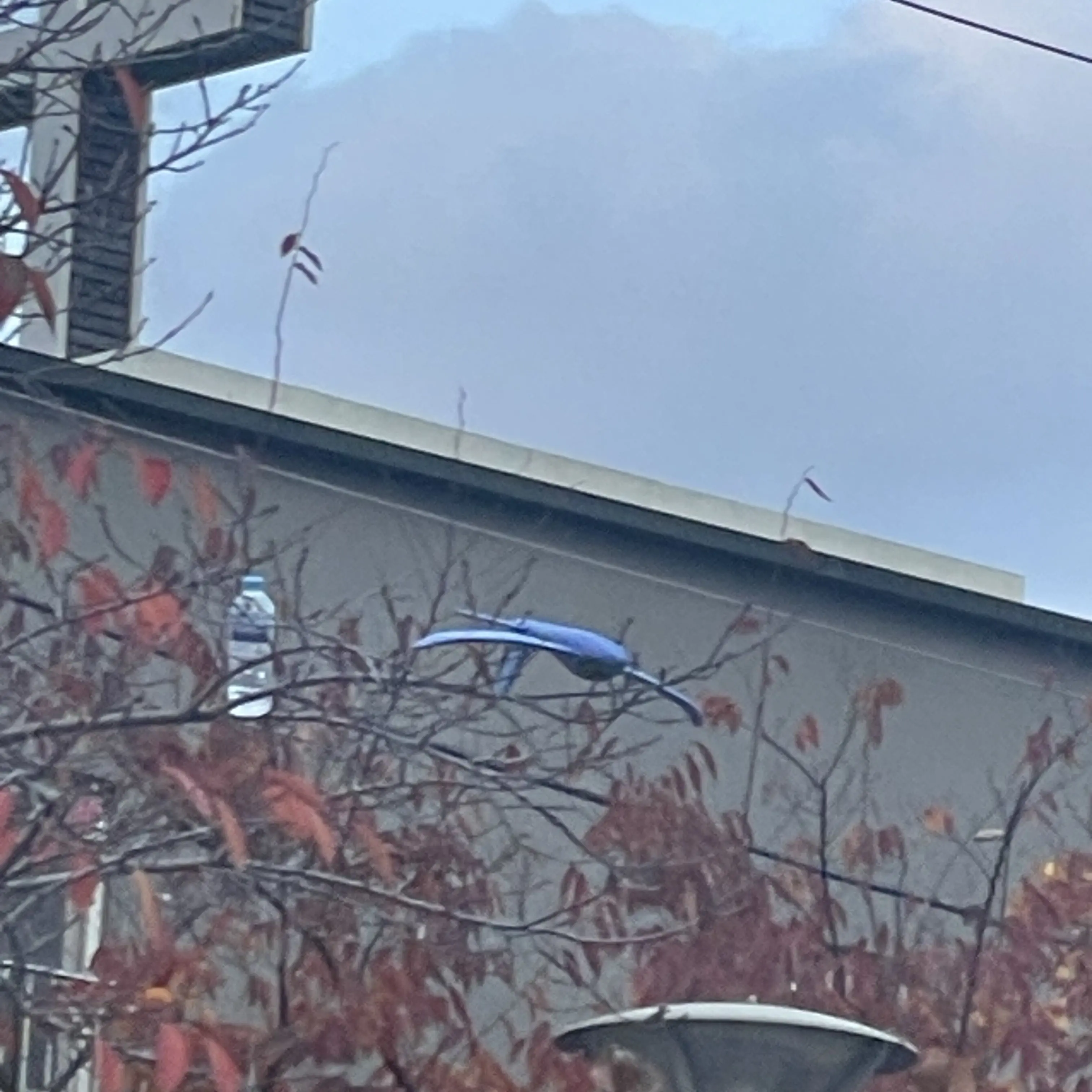 ogrji1의 아무도 모른다